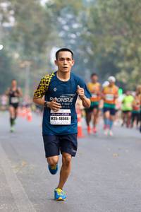 BIB: 48086
                            <button type="button" onclick="openModal(10372038)" class="btn btn-primary btn-sm float-right btn-popup" data-toggle="modal" data-target=".modal-high-quality">
                        <i class="fas fa-shopping-cart"></i> Add to Cart
                    </button>
                                            <button type="button" onclick="isThisMe(10372038, true)" class="btn btn-success btn-sm float-right btn-popup btn-isme hidden" data-toggle="tooltip" data-placement="bottom" title="นี่คือรูปของคุณใช่ไหม คลิกที่นี่เพื่อเอาเข้าอัลบั้ม">
                        <i class="fas fa-plus"></i> Add to album
                    </button>
                    <button type="button" onclick="isThisMe(10372038, false)" class="btn btn-warning btn-sm float-right btn-popup btn-isnotme hidden">
                        <i class="fas fa-ban"></i> Remove from album
                    </button>